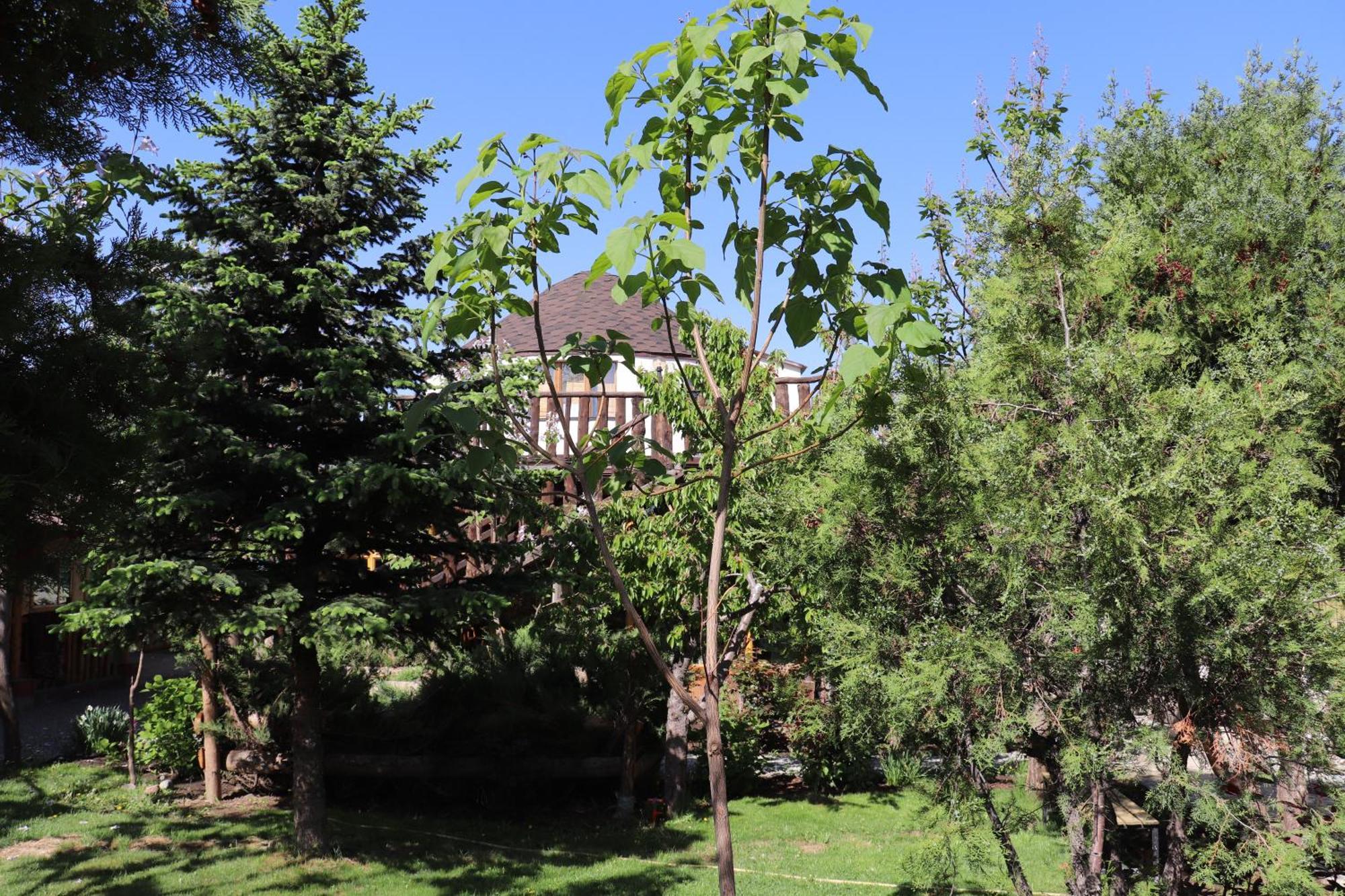 Happy Nomads Yurts & Hostel Karakol Dış mekan fotoğraf